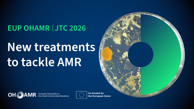 znak graficzny projektu
