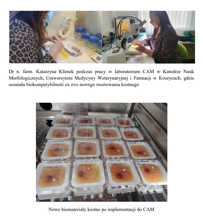 dwa zdjęcia, na górze Dr n. farm. Katarzyna Klimek podczas pracy w laboratorium, na dole biomateriały kostne po implementacji do CAM