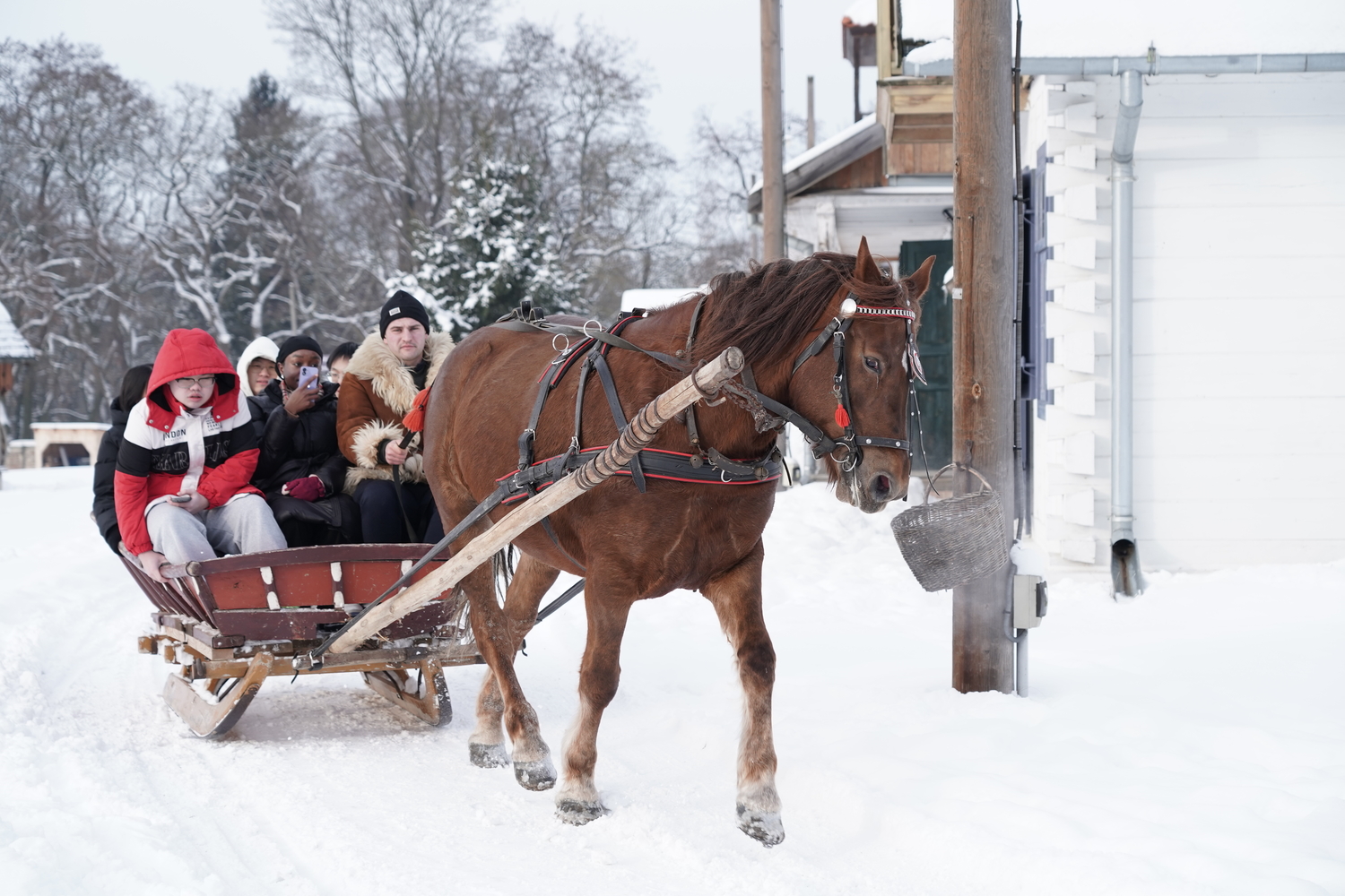 zimowe ognisko i studenci w okół niego
